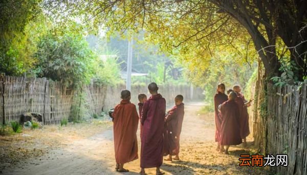 我不入地狱谁入地狱出自哪里 我不入地狱谁入地狱出自哪里作者是谁