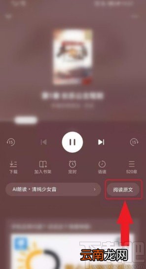 番茄免费小说APP设置听书的操作方法