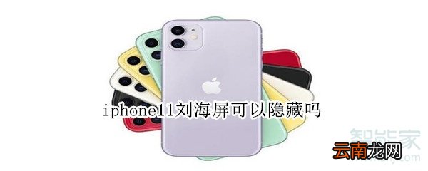 iphone11刘海屏可以隐藏吗