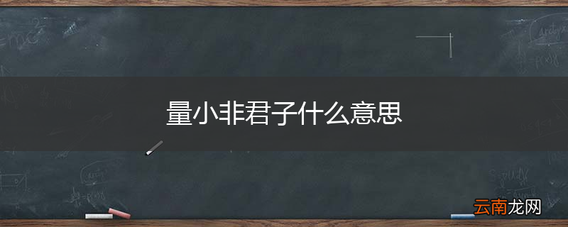 量小非君子什么意思