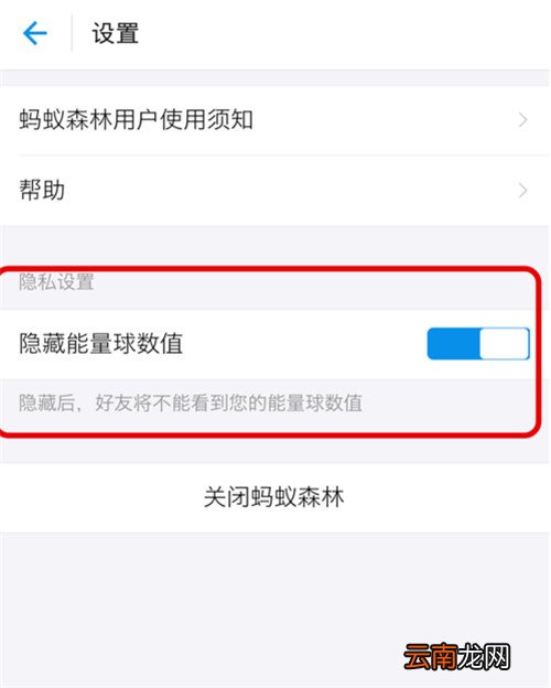 支付宝蚂蚁森林能量值怎样隐藏?隐藏森林能量值方法分享
