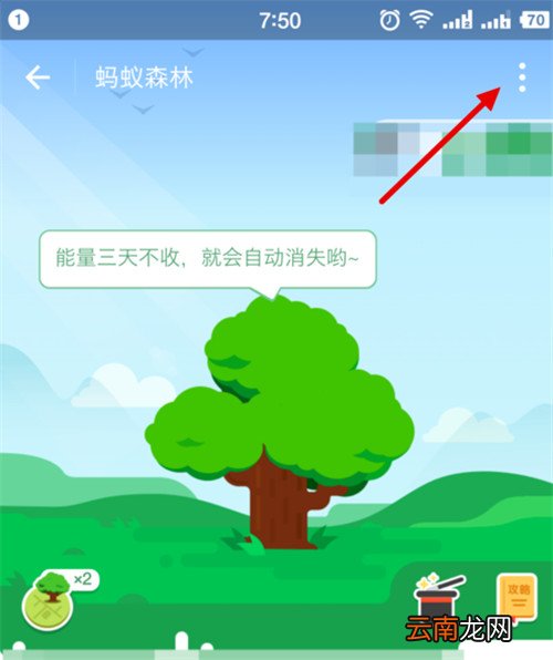 支付宝蚂蚁森林能量值怎样隐藏?隐藏森林能量值方法分享