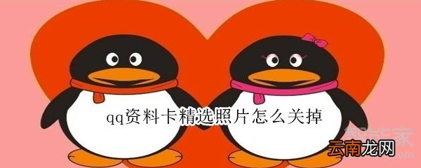 qq资料卡精选照片怎么关掉