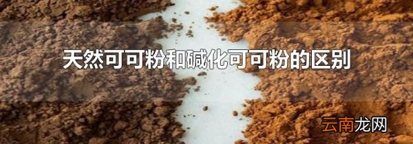 天然可可粉和碱化可可粉的区别