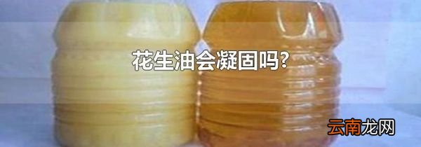 花生油会凝固吗?