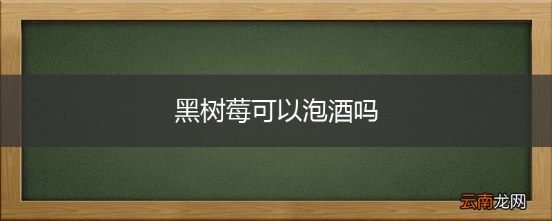 黑树莓可以泡酒吗