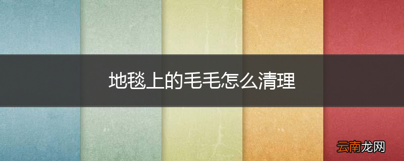 地毯上的毛毛怎么清理