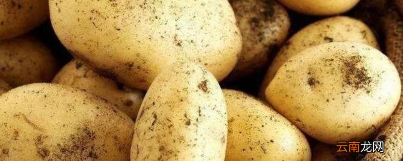 怎么判断土豆熟没熟