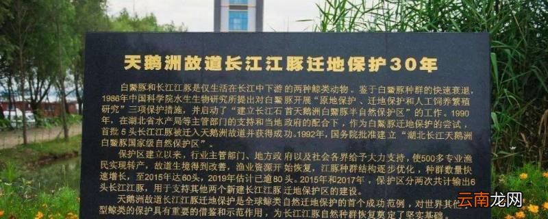 天鹅洲保护区位于哪个省