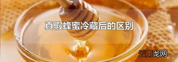 真假蜂蜜冷藏后的区别