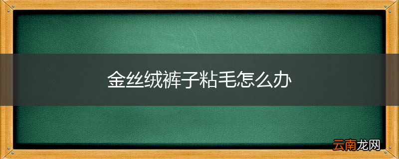 金丝绒裤子粘毛怎么办