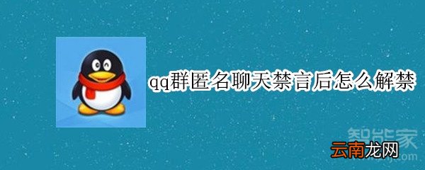 qq群匿名聊天禁言后怎么解禁