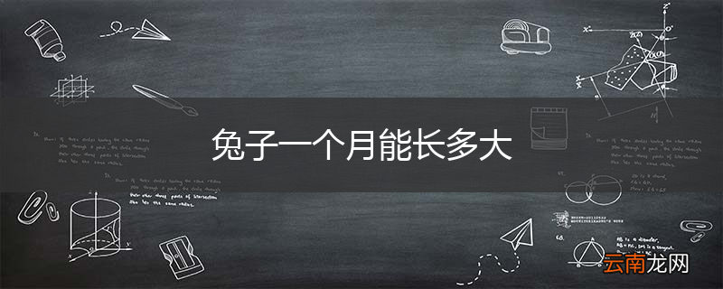 兔子一个月能长多大