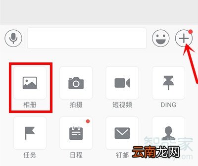 钉钉回放视频怎么下载转发
