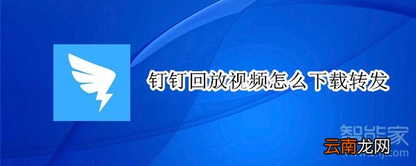 钉钉回放视频怎么下载转发