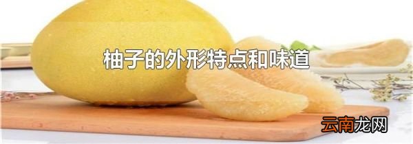 柚子的外形特点和味道