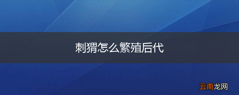 刺猬怎么繁殖后代
