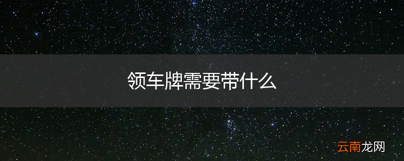 领车牌需要带什么