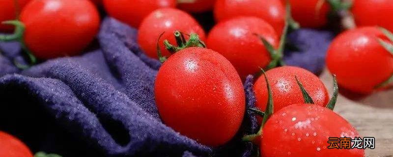 千禧果是什么水果