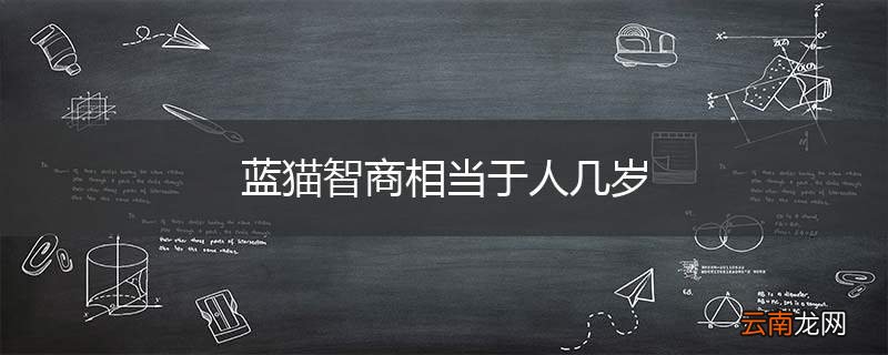 蓝猫智商相当于人几岁