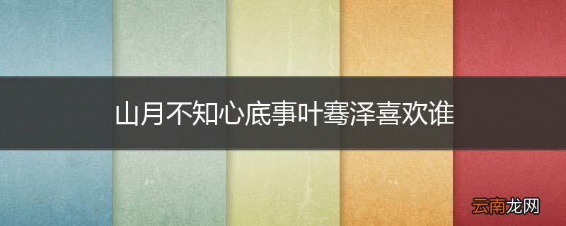山月不知心底事叶骞泽喜欢谁
