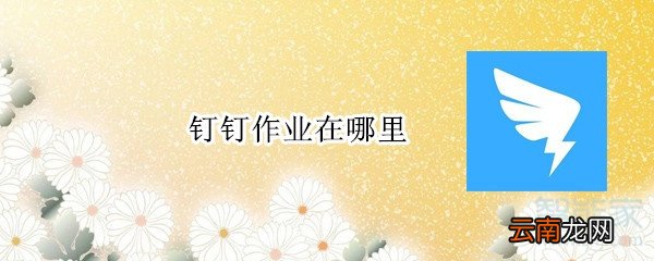 钉钉作业在哪里