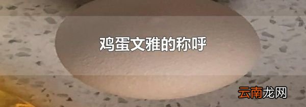 鸡蛋文雅的称呼