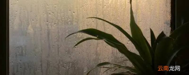 一到冬天窗户就是水怎么办