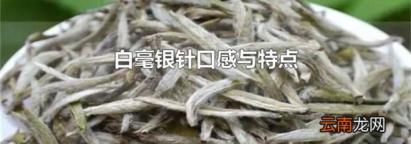 白毫银针口感与特点