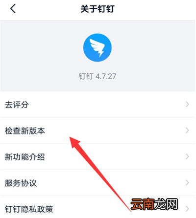 钉钉更新在哪里设置