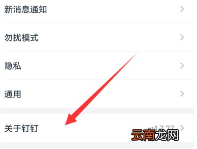 钉钉更新在哪里设置