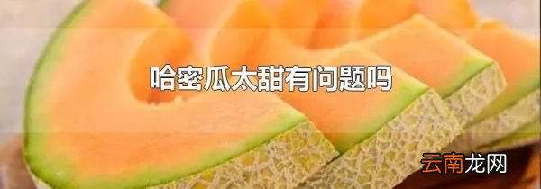 哈密瓜太甜有问题吗