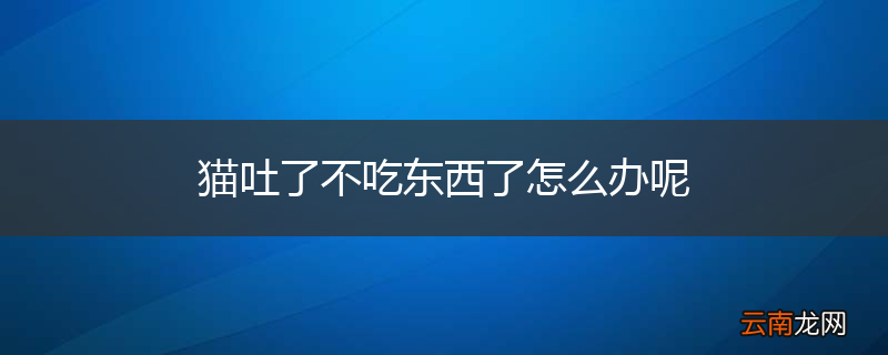猫吐了不吃东西了怎么办呢
