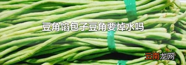 豆角馅包子豆角要焯水吗
