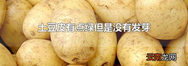 土豆皮有点绿但是没有发芽