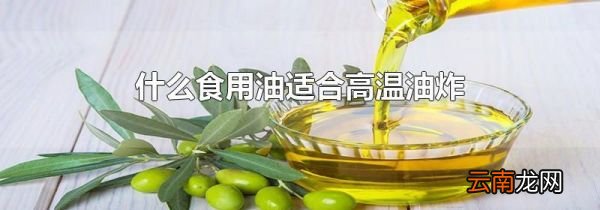 什么食用油适合高温油炸