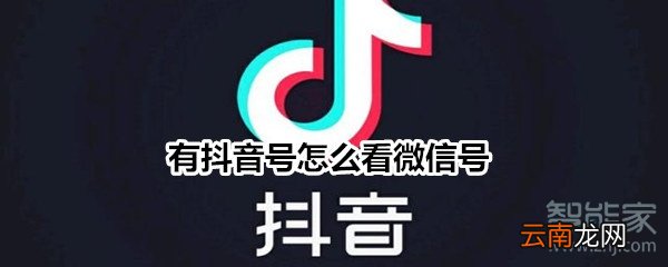 有抖音号怎么看微信号
