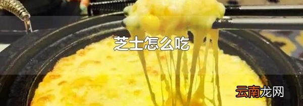 芝士怎么吃