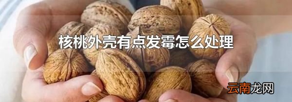 核桃外壳有点发霉怎么处理