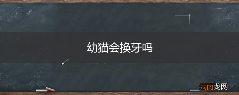 幼猫会换牙吗