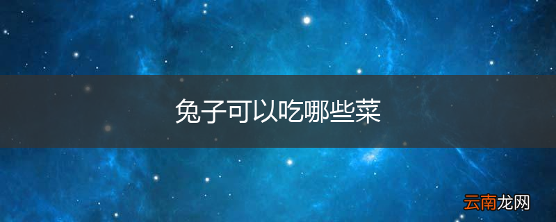 兔子可以吃哪些菜