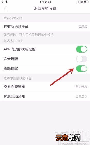 拼多多APP开启震动提醒的方法