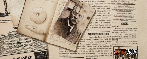 paint是什么意思中文 paint是什么意思