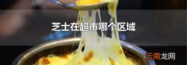 芝士在超市哪个区域