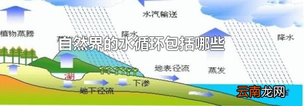 自然界的水循环包括哪些