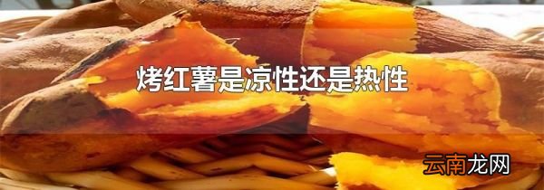 烤红薯是凉性还是热性