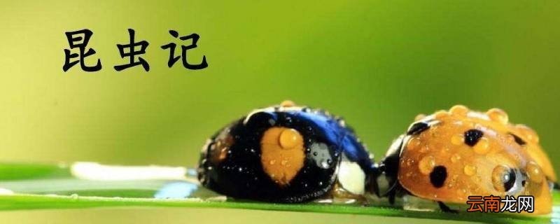 昆虫记也叫做什么