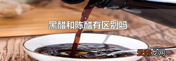 黑醋和陈醋有区别吗