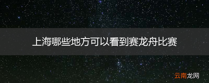 上海哪些地方可以看到赛龙舟比赛