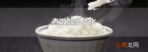 煮饭加多少水